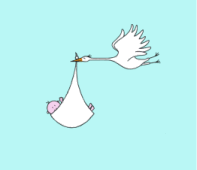 flying stork
